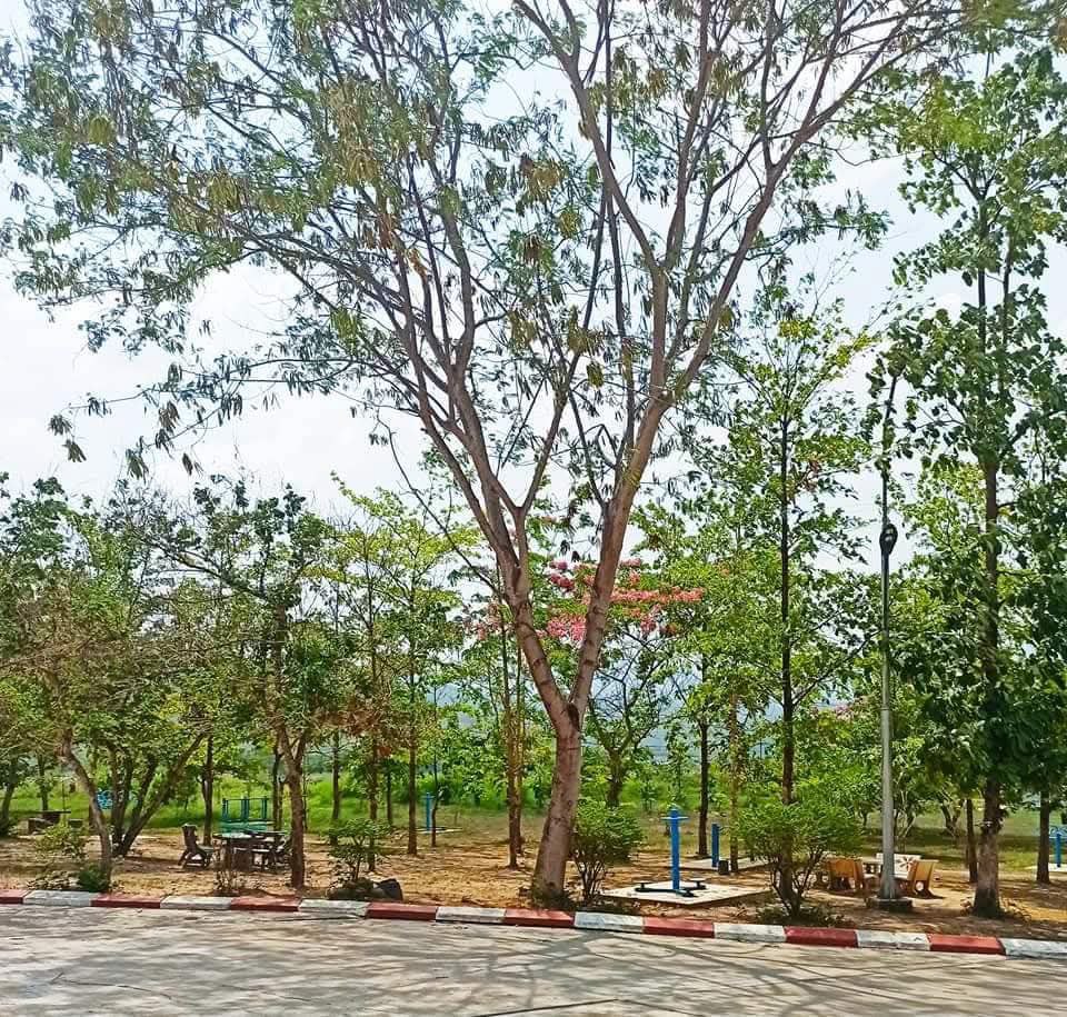 Green Campus