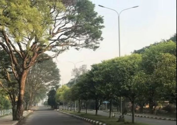 University of Yangon Library