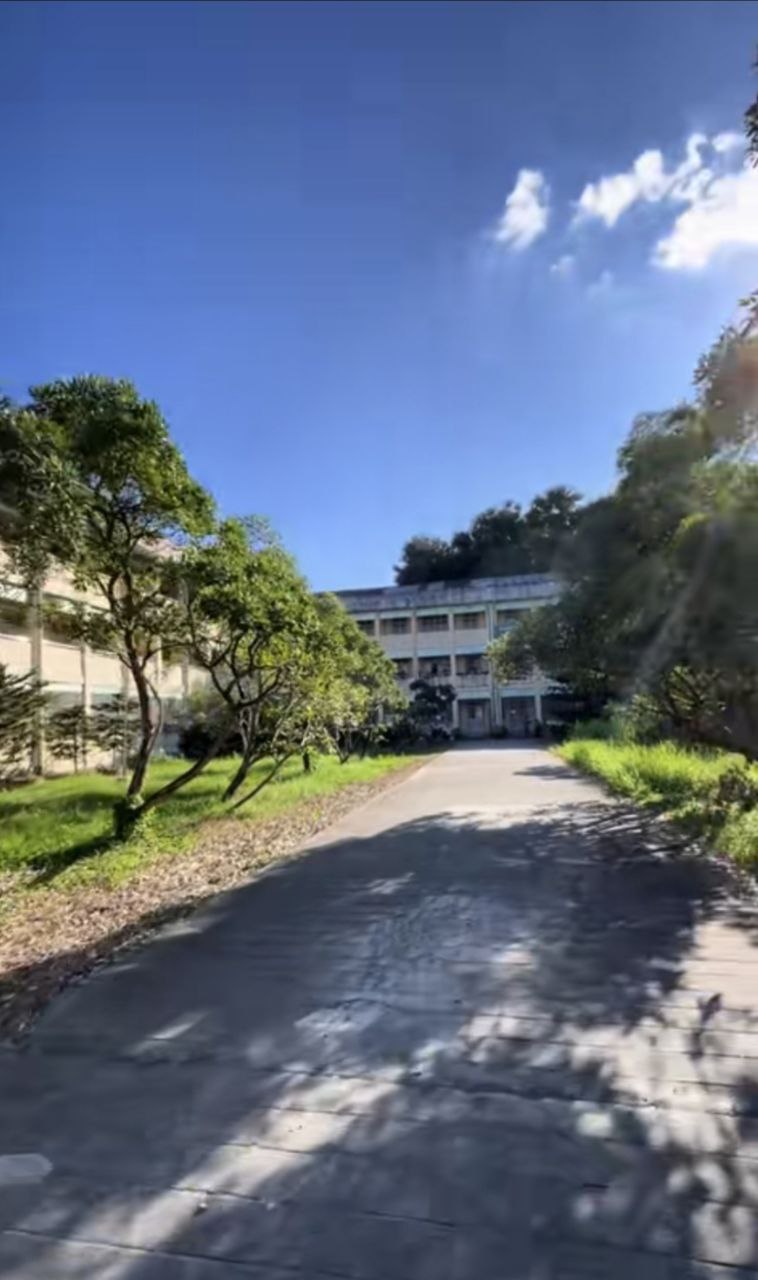 Library and Study Spaces