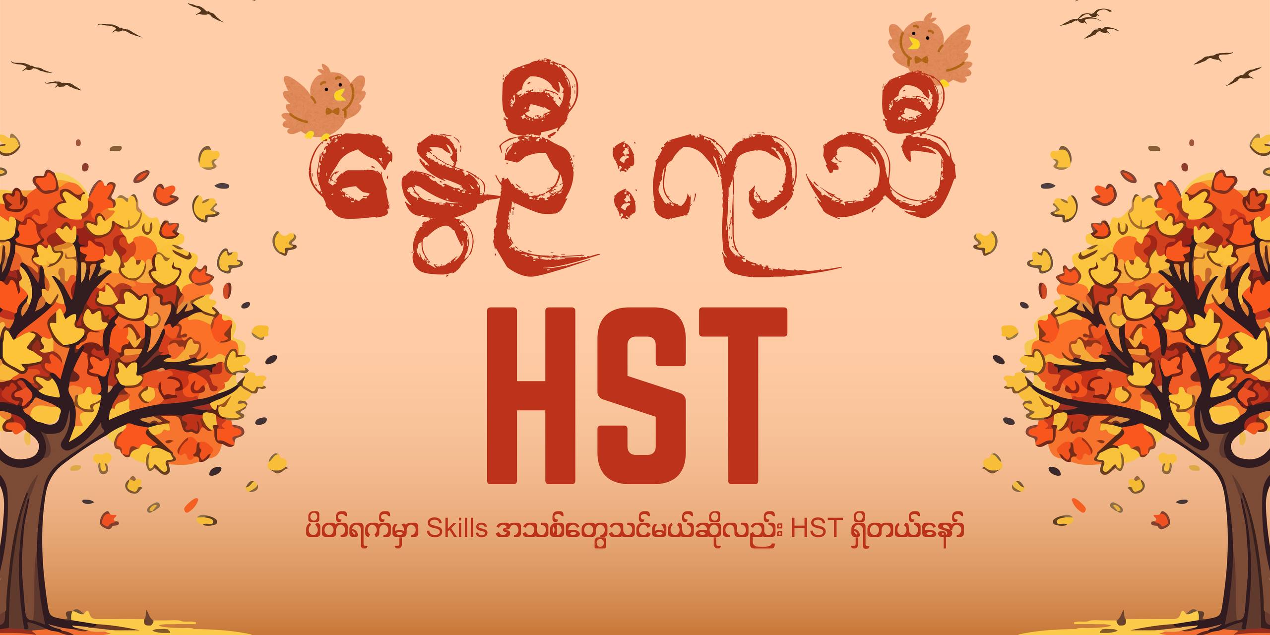 HST announcement banner