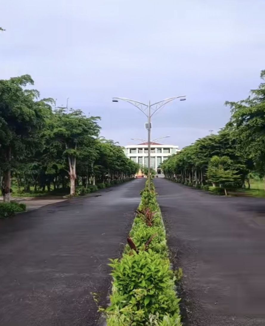 Library and Study Spaces