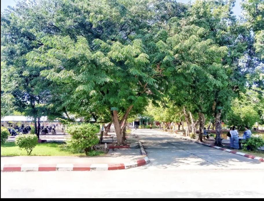 University of Yangon Library