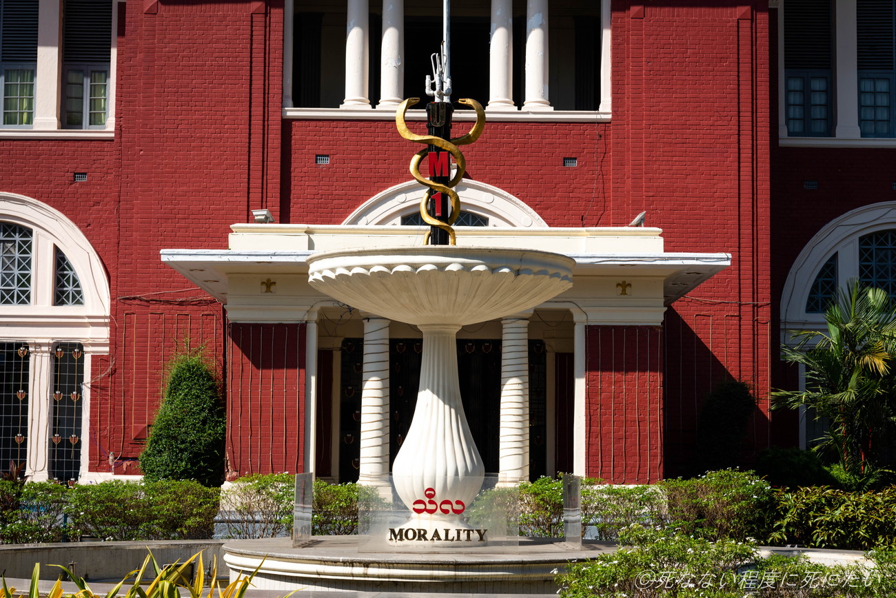 ဆေးတက္ကသိုလ်များ